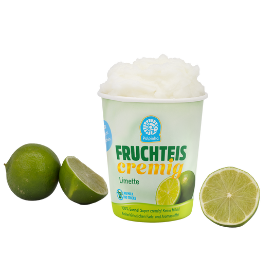 Cremiges Fruchteis Limette (500ml)